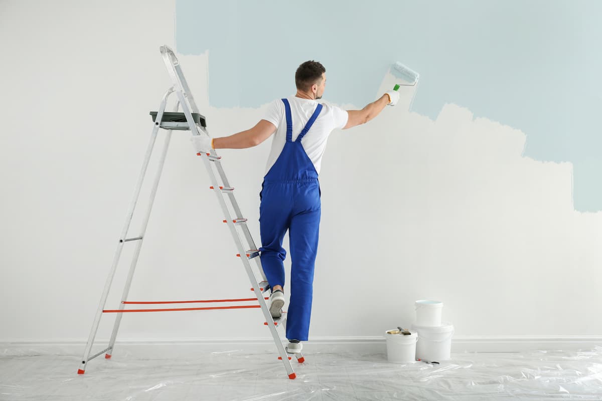 Schilder aan het werk - professionele website